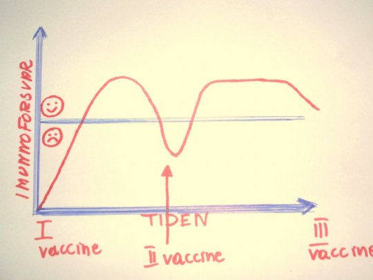 der kan du se hvordan kroppen reagerer p vaccinen/kun i en periode vaccinen beskytter mod sygdom